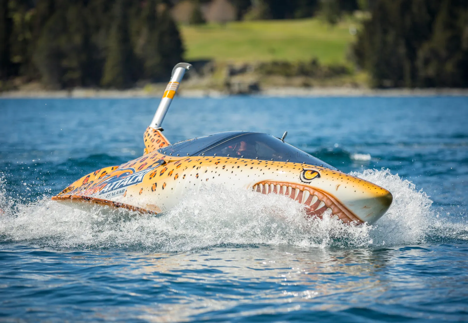 Queenstown: Hydro Attack Shark Ride - photo 3
