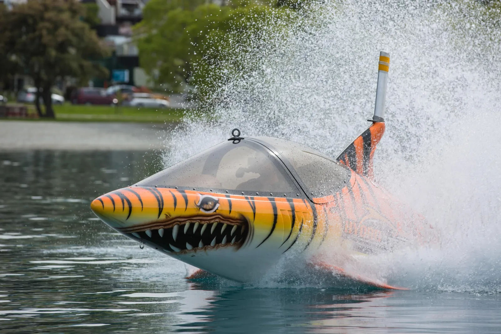Queenstown: Hydro Attack Shark Ride - photo 4