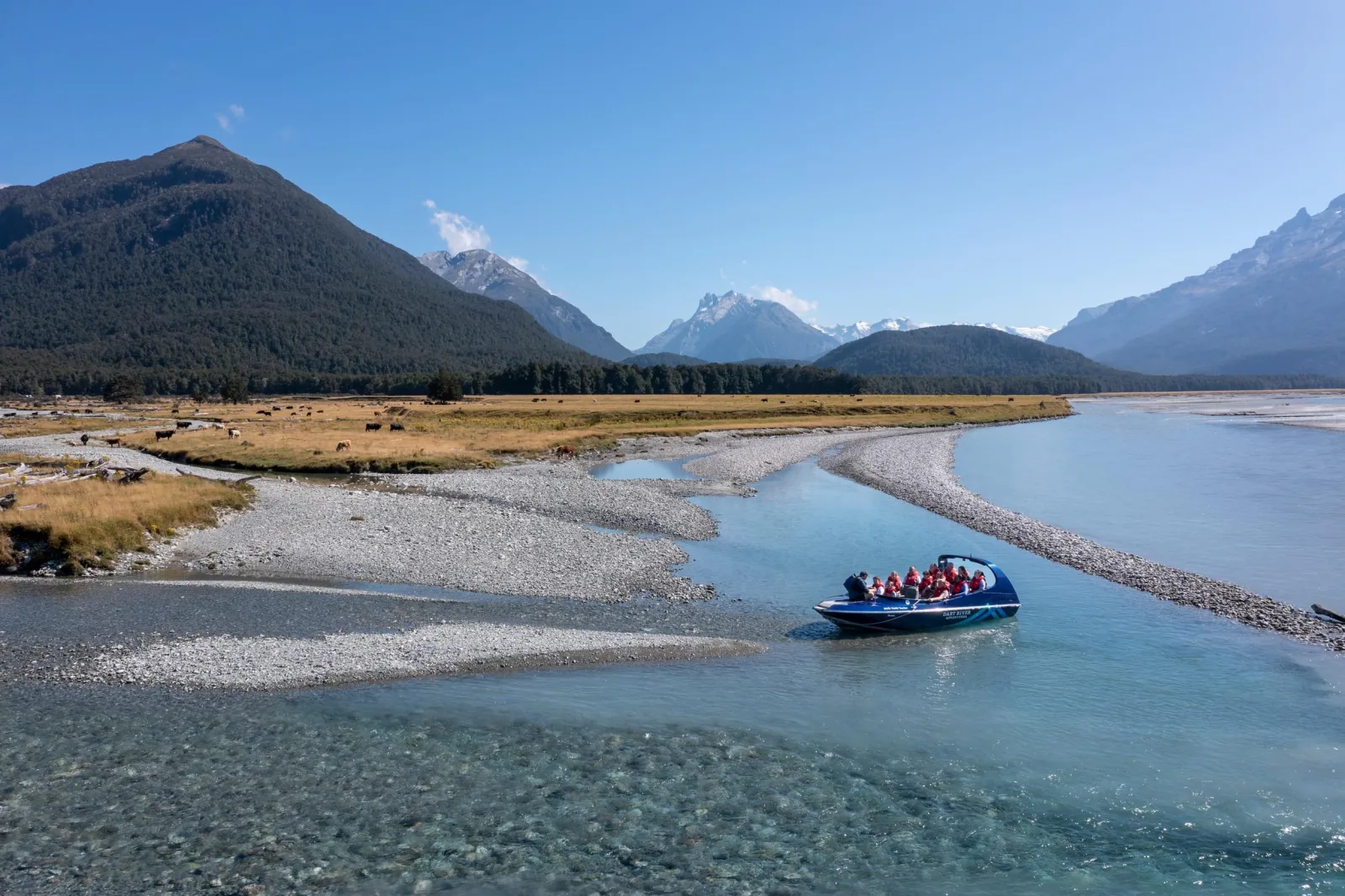 From Queenstown: Dart River Wilderness Jet Boat Experience